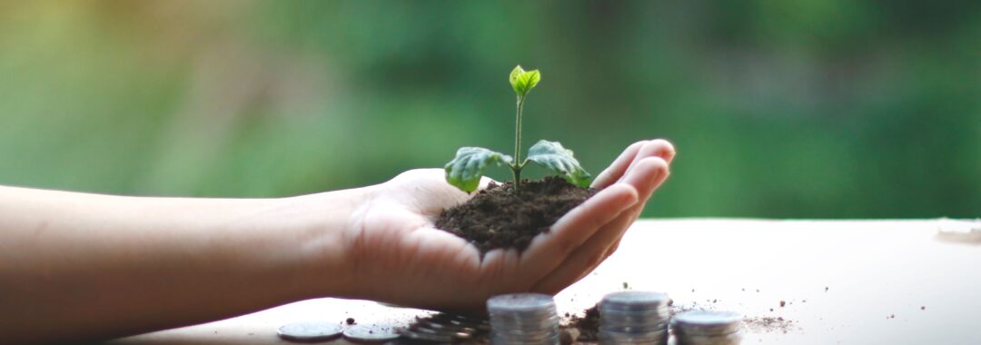 Investing image showing hand holding a green shoot