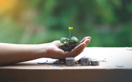 Investing image showing hand holding a green shoot